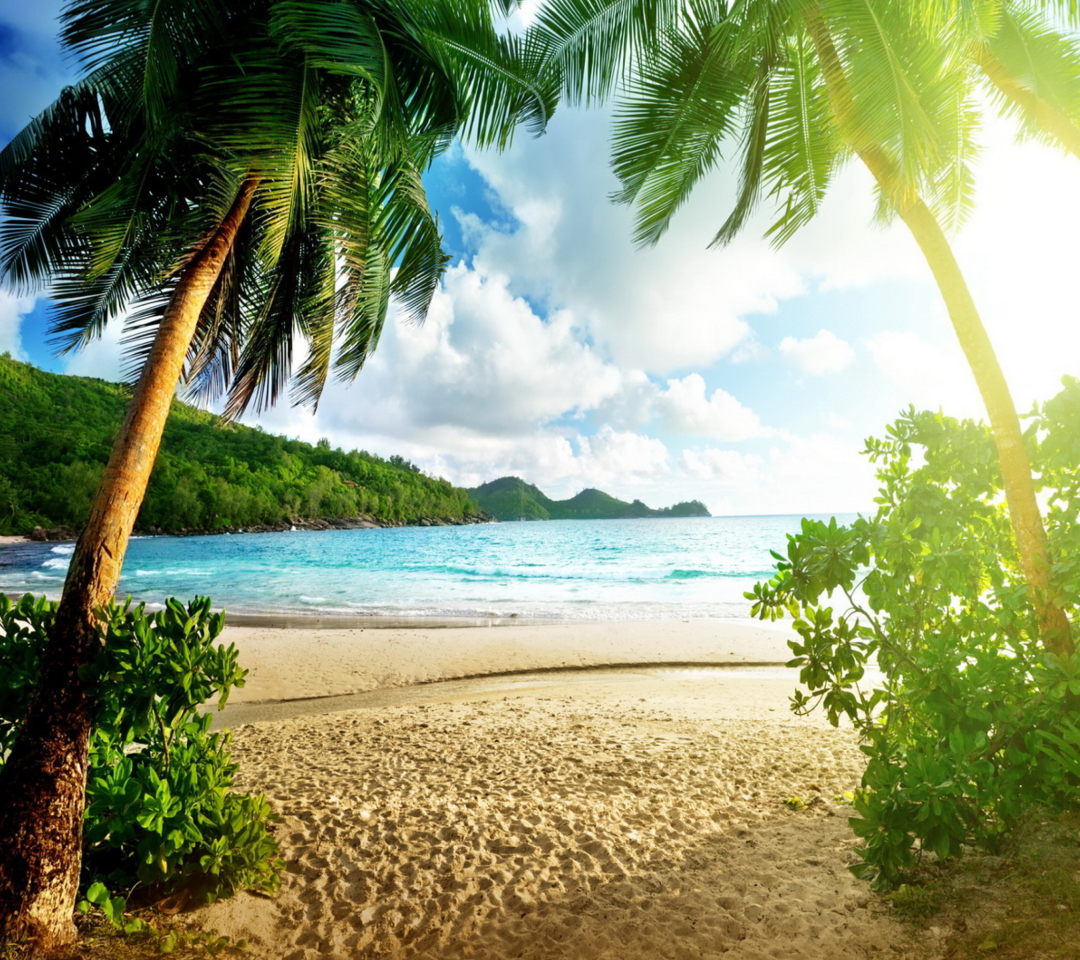 Das Tropical Beach In Palau Wallpaper 1080x960