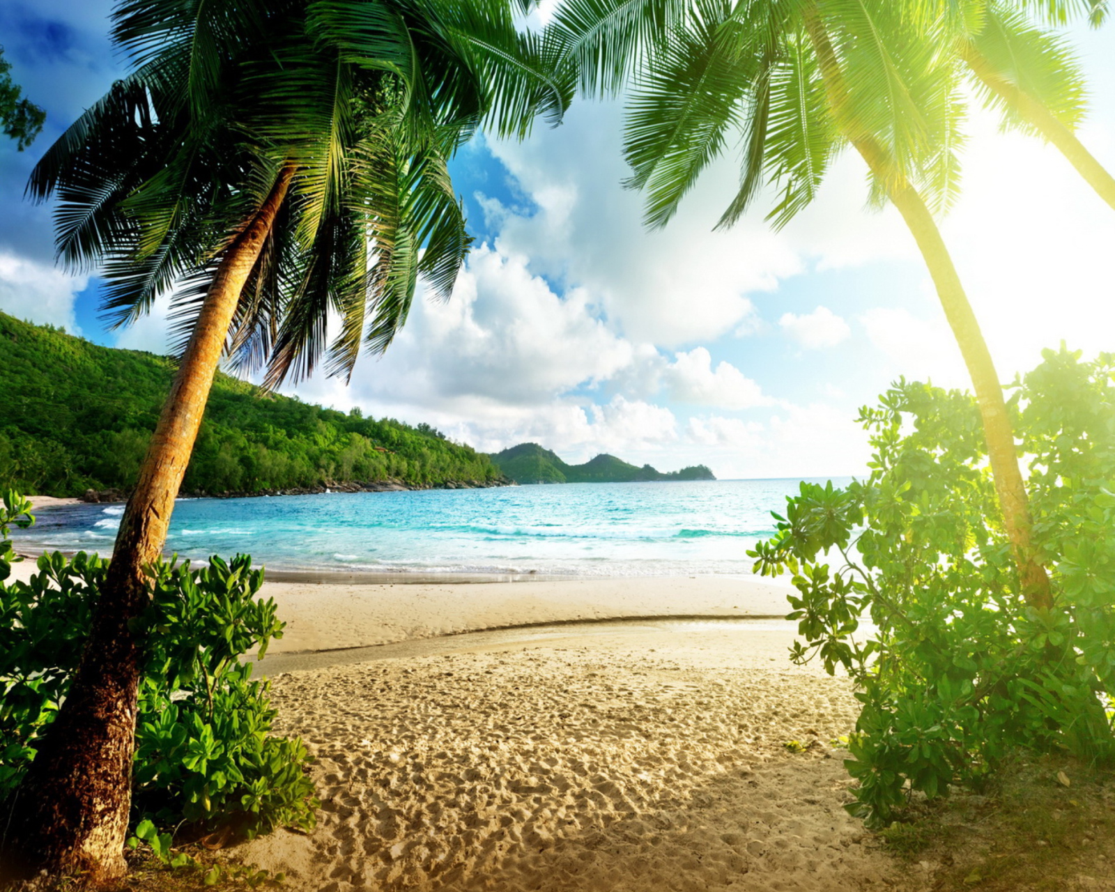 Fondo de pantalla Tropical Beach In Palau 1600x1280
