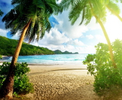 Tropical Beach In Palau screenshot #1 176x144
