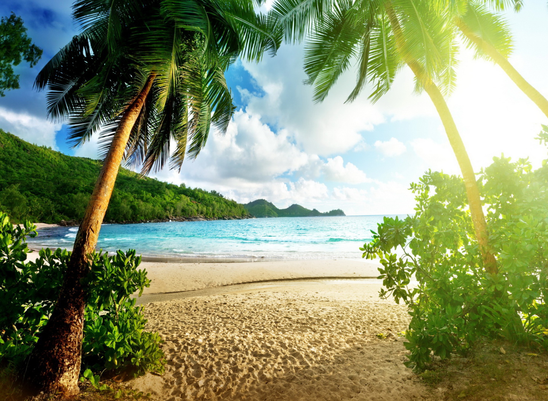 Das Tropical Beach In Palau Wallpaper 1920x1408