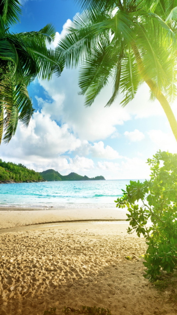 Обои Tropical Beach In Palau 360x640