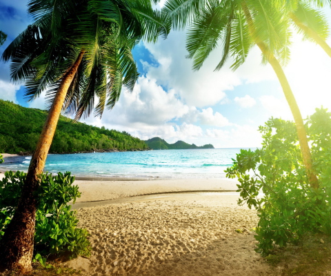 Sfondi Tropical Beach In Palau 480x400