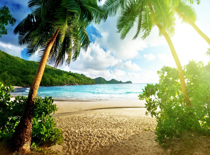 Tropical Beach In Palau screenshot #1