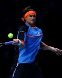 Sfondi Tennis Player - David Ferrer 128x160