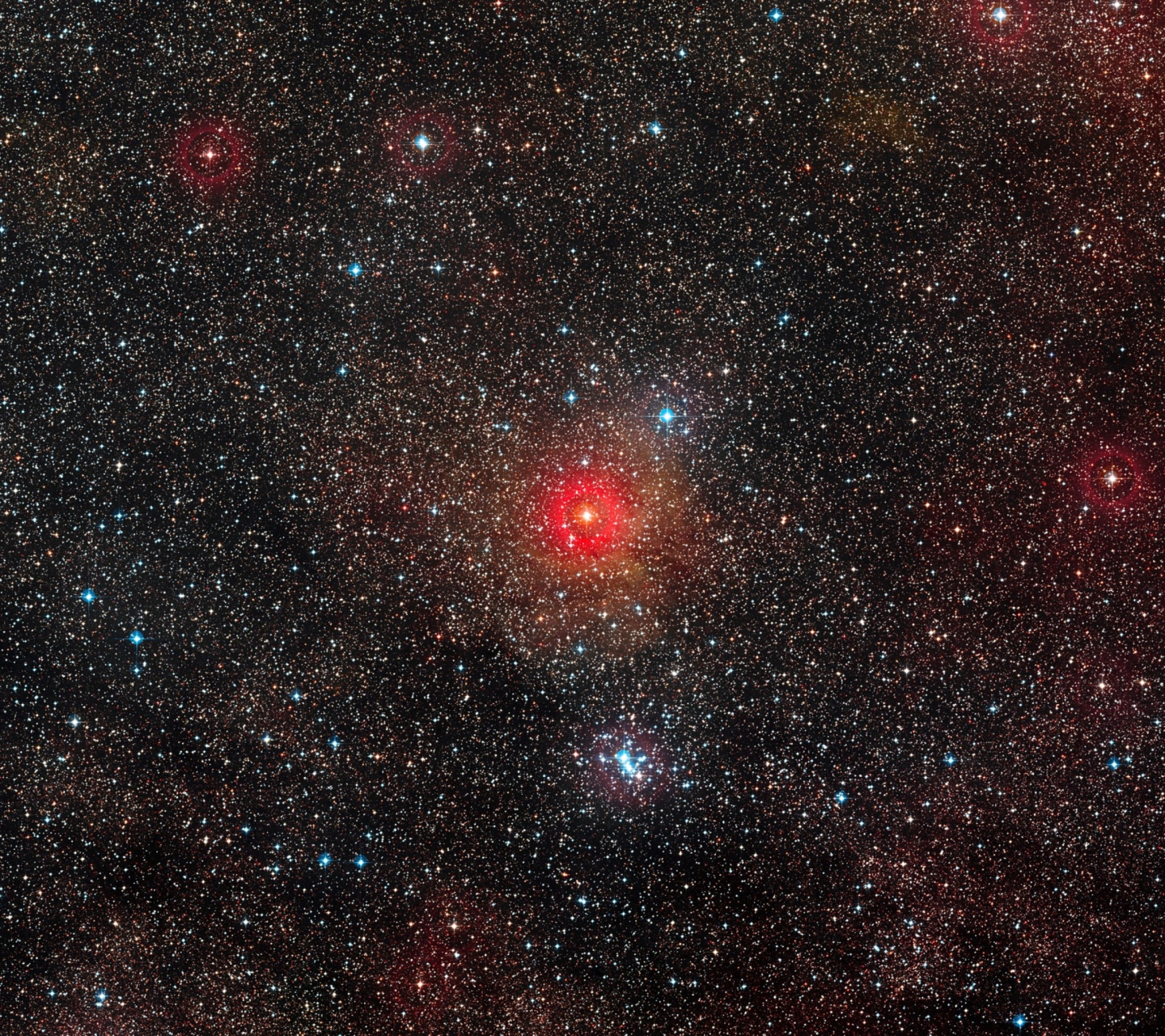 Sfondi Hyper Star 1440x1280
