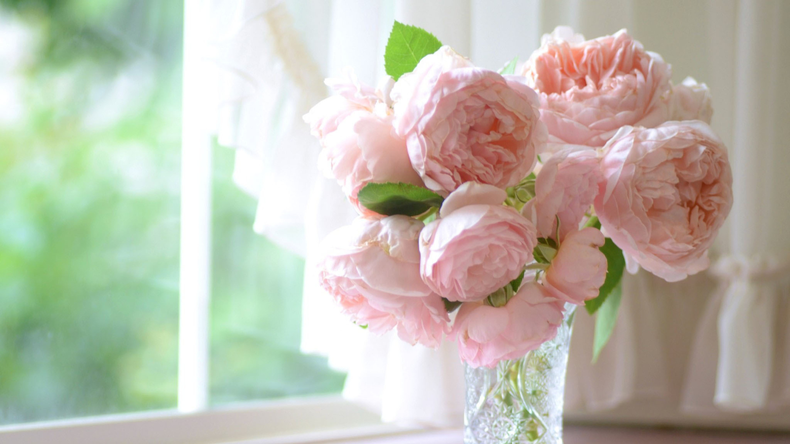 Das Soft Pink Peonies Bouquet Wallpaper 1600x900