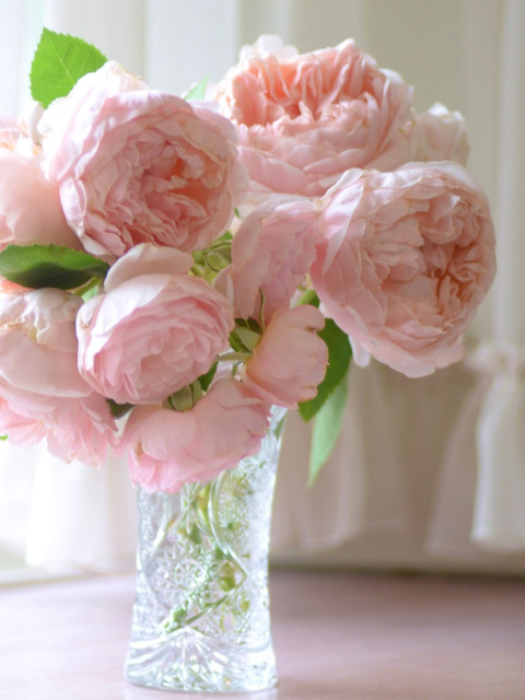 Soft Pink Peonies Bouquet wallpaper 480x640