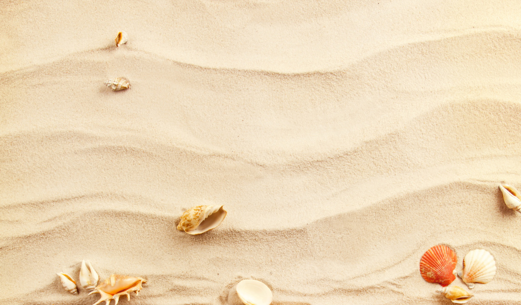 Sand and Shells screenshot #1 1024x600