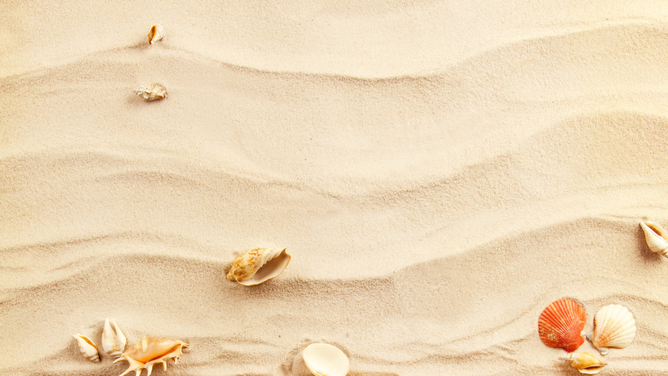 Sfondi Sand and Shells 1366x768