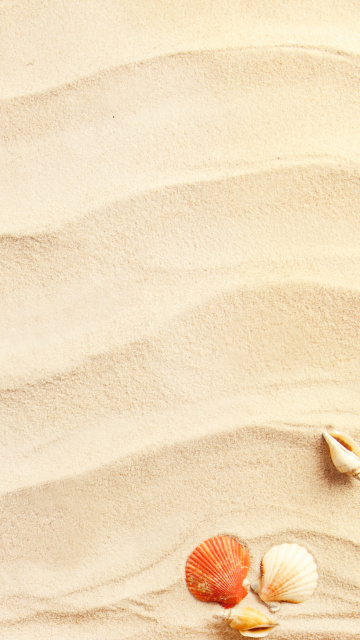Das Sand and Shells Wallpaper 360x640