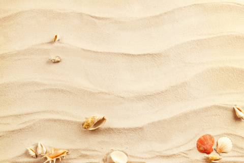 Das Sand and Shells Wallpaper 480x320