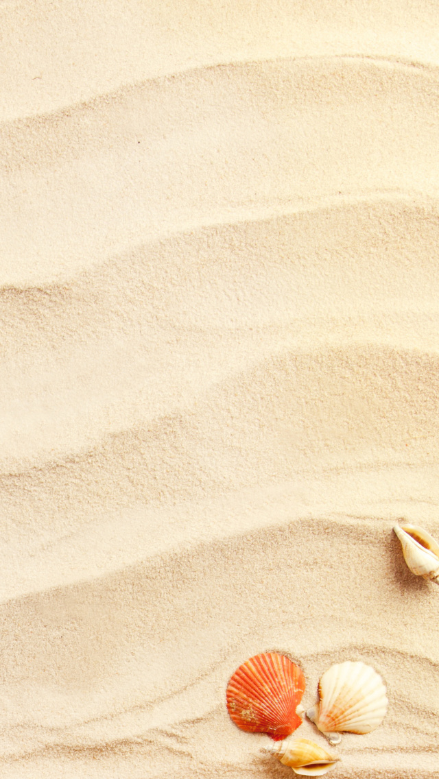 Das Sand and Shells Wallpaper 640x1136