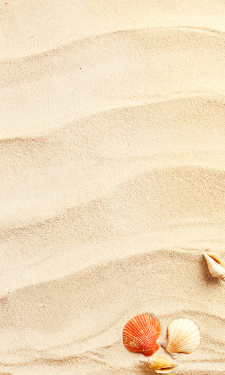 Sand and Shells wallpaper 768x1280