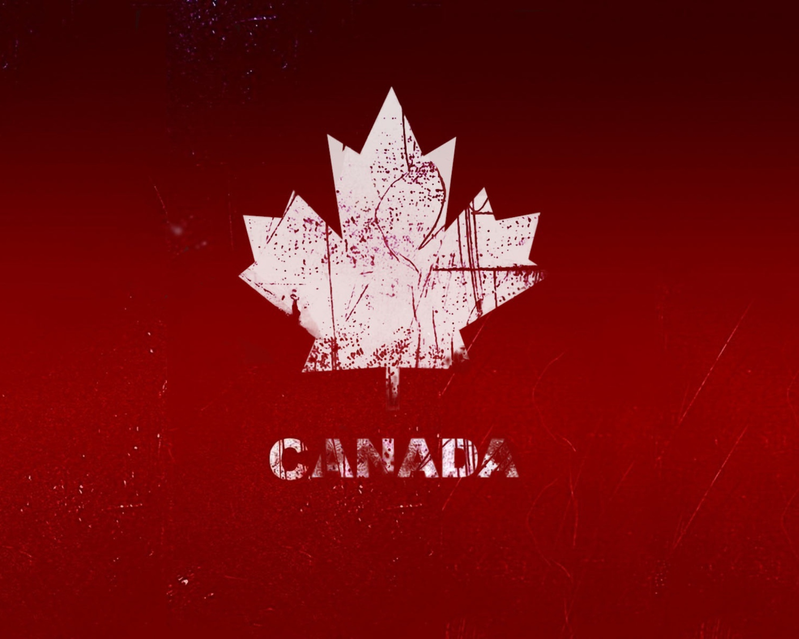 Screenshot №1 pro téma Canada Maple Leaf 1600x1280