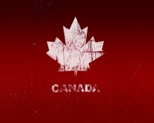 Das Canada Maple Leaf Wallpaper 220x176