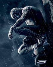 Das Spiderman 3 Wallpaper 176x220
