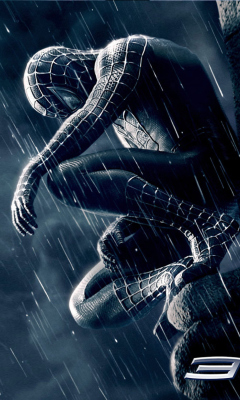 Das Spiderman 3 Wallpaper 240x400