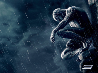 Fondo de pantalla Spiderman 3 320x240