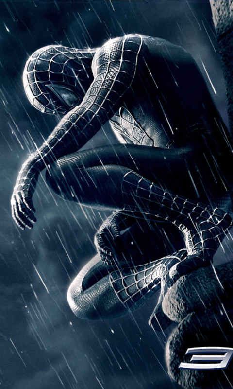 Das Spiderman 3 Wallpaper 480x800