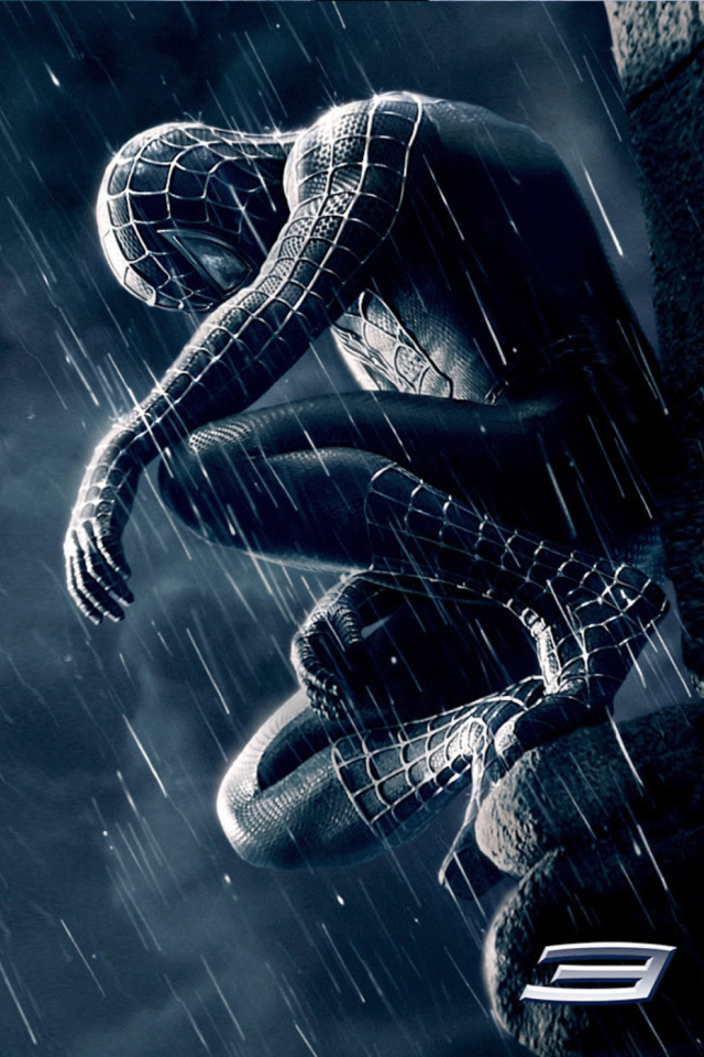 Das Spiderman 3 Wallpaper 640x960