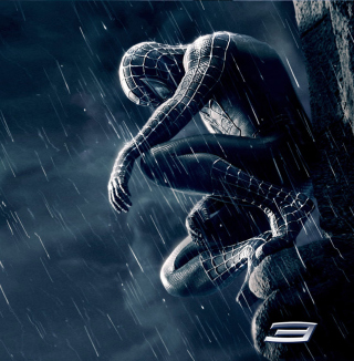 Spiderman 3 - Obrázkek zdarma pro 208x208