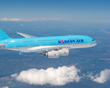 Fondo de pantalla Korean Air flight Airbus 220x176