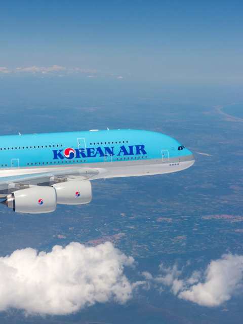 Sfondi Korean Air flight Airbus 480x640