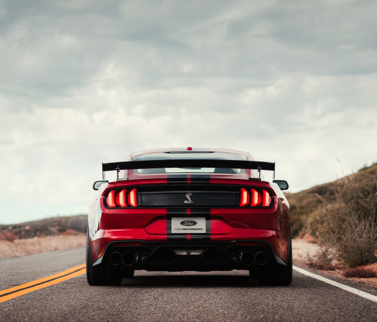 Das Mustang Shelby GT500 Wallpaper 1200x1024