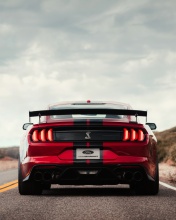Screenshot №1 pro téma Mustang Shelby GT500 176x220