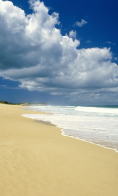 Sunny Beach screenshot #1 240x400