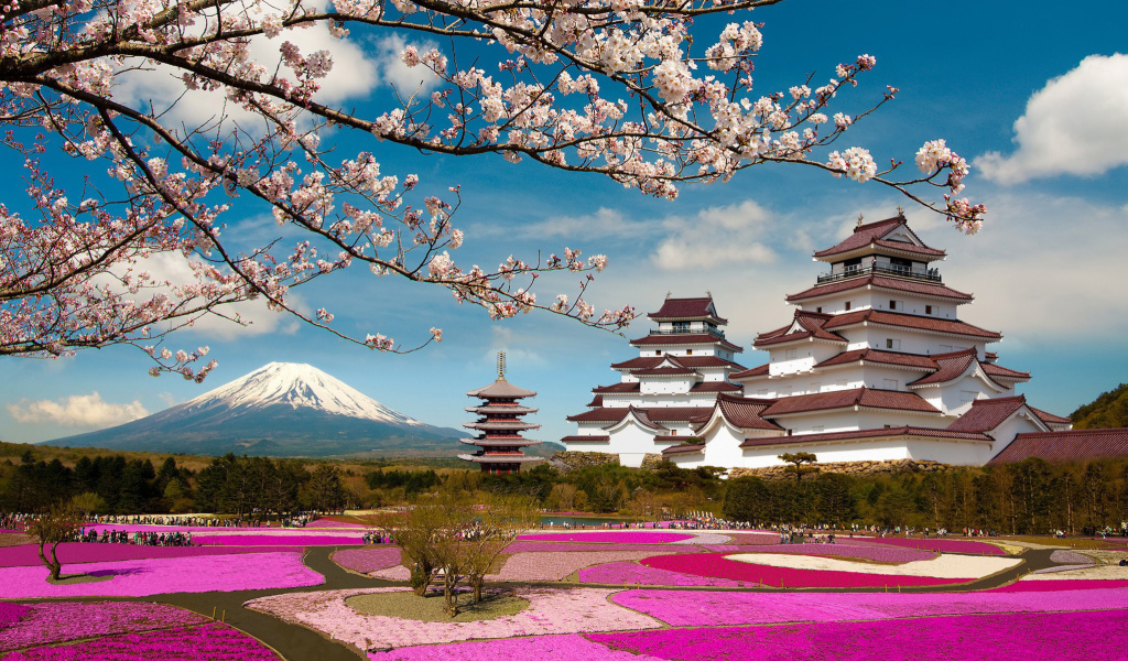 Das Mount Fuji in Japan Wallpaper 1024x600