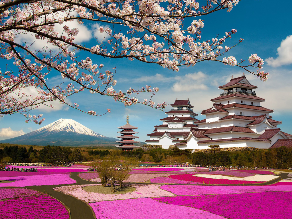 Обои Mount Fuji in Japan 1024x768