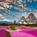 Fondo de pantalla Mount Fuji in Japan 128x128