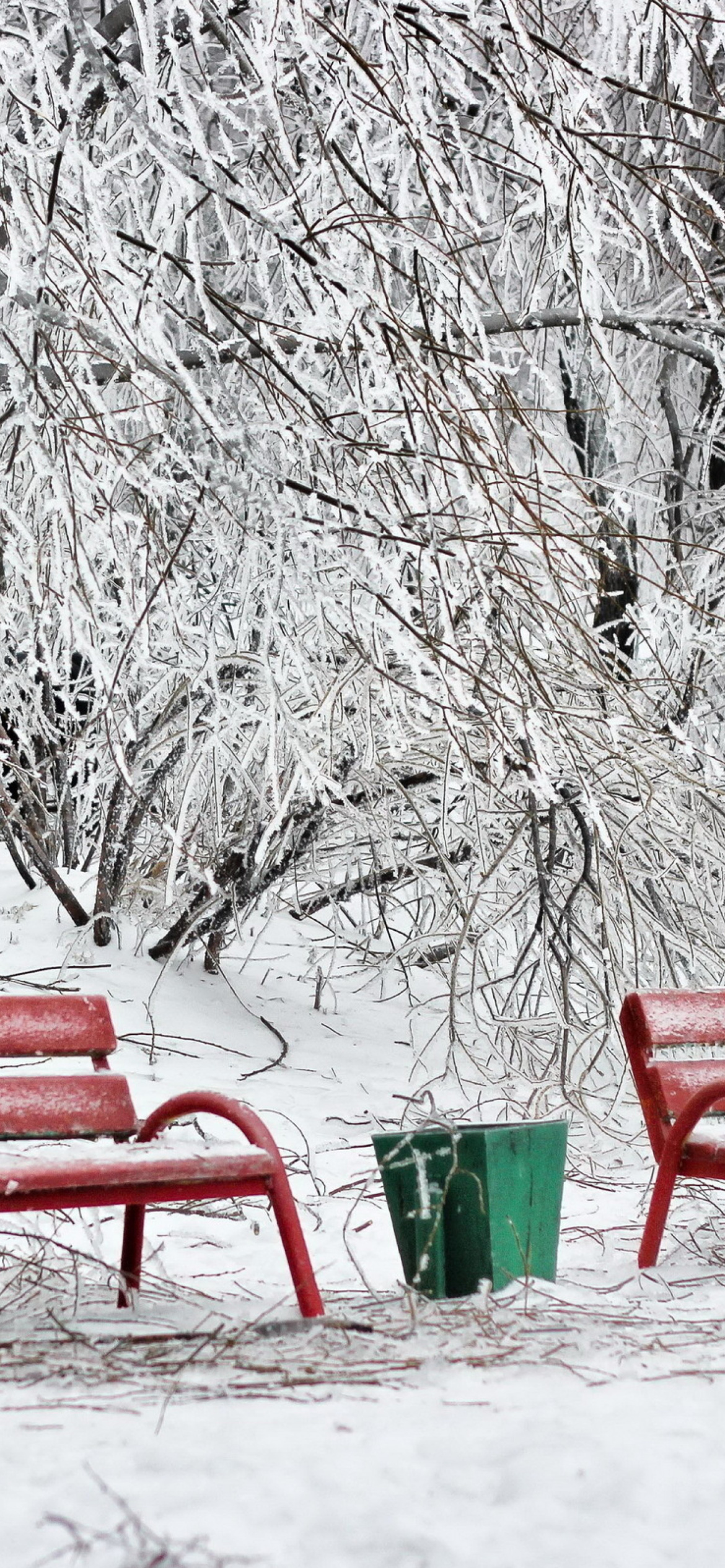 Benches in Snow wallpaper 1170x2532