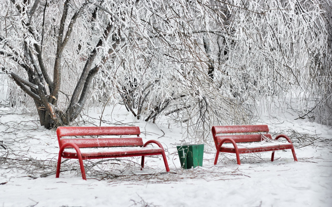 Benches in Snow wallpaper 1280x800