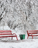 Benches in Snow wallpaper 128x160