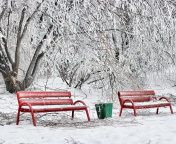 Benches in Snow wallpaper 176x144