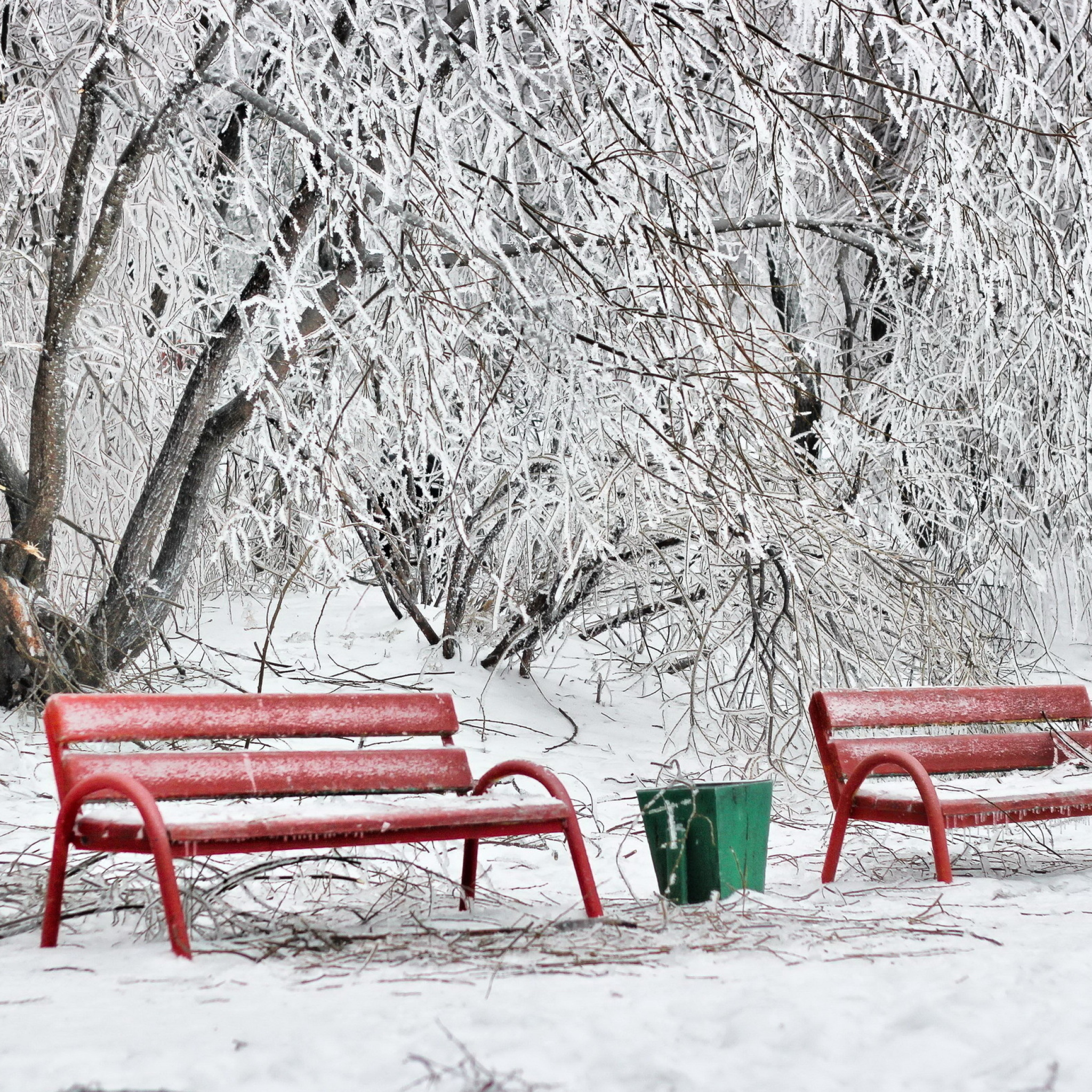 Benches in Snow wallpaper 2048x2048