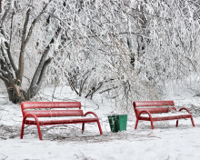 Benches in Snow wallpaper 220x176