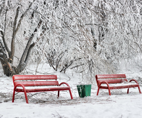Benches in Snow wallpaper 480x400