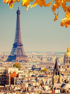 Sfondi Eiffel Tower Paris Autumn 240x320