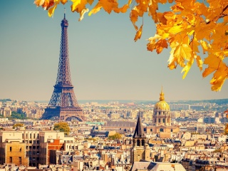 Screenshot №1 pro téma Eiffel Tower Paris Autumn 320x240