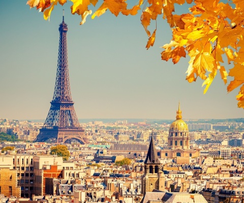 Sfondi Eiffel Tower Paris Autumn 480x400