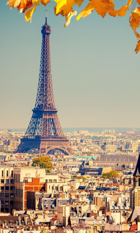 Das Eiffel Tower Paris Autumn Wallpaper 480x800