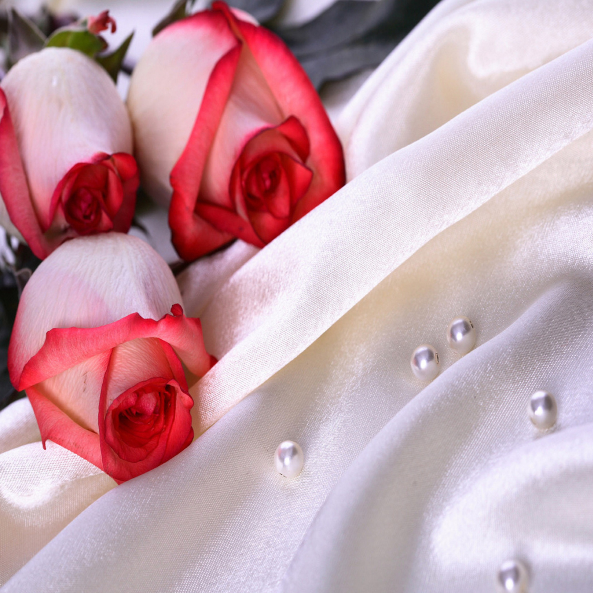 Поздравление с днем свадьбы 24. Свадебный фон. Свадебные цветы. Розы на шелковой ткани. Розы фон.