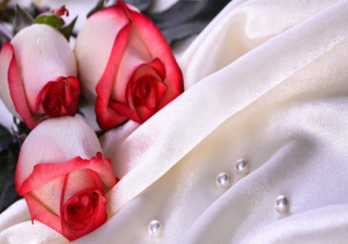 Free Rose And Perals Picture for Android, iPhone and iPad