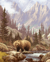 Bear At Mountain River wallpaper 176x220