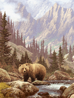 Bear At Mountain River wallpaper 240x320