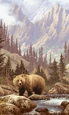 Das Bear At Mountain River Wallpaper 240x400