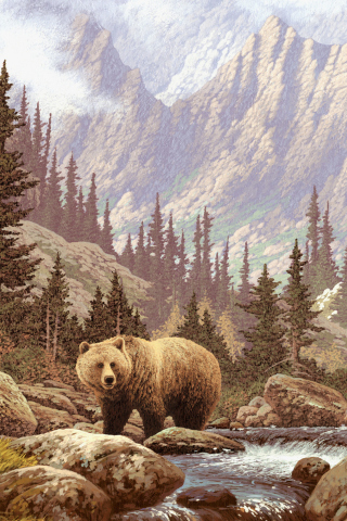 Bear At Mountain River wallpaper 320x480